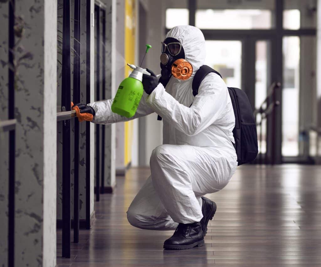 Professional Mold Remediation