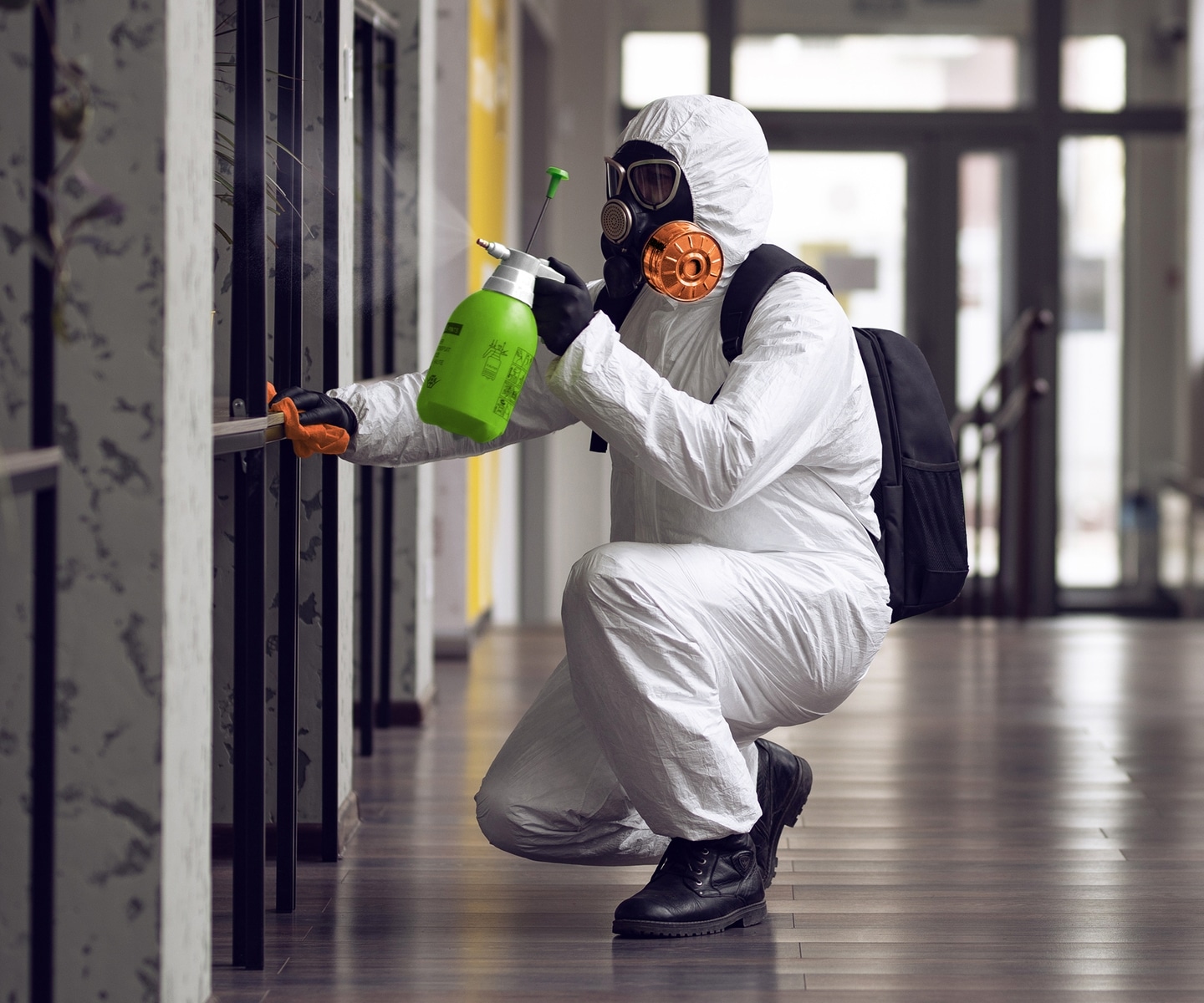 Professional Mold Remediation