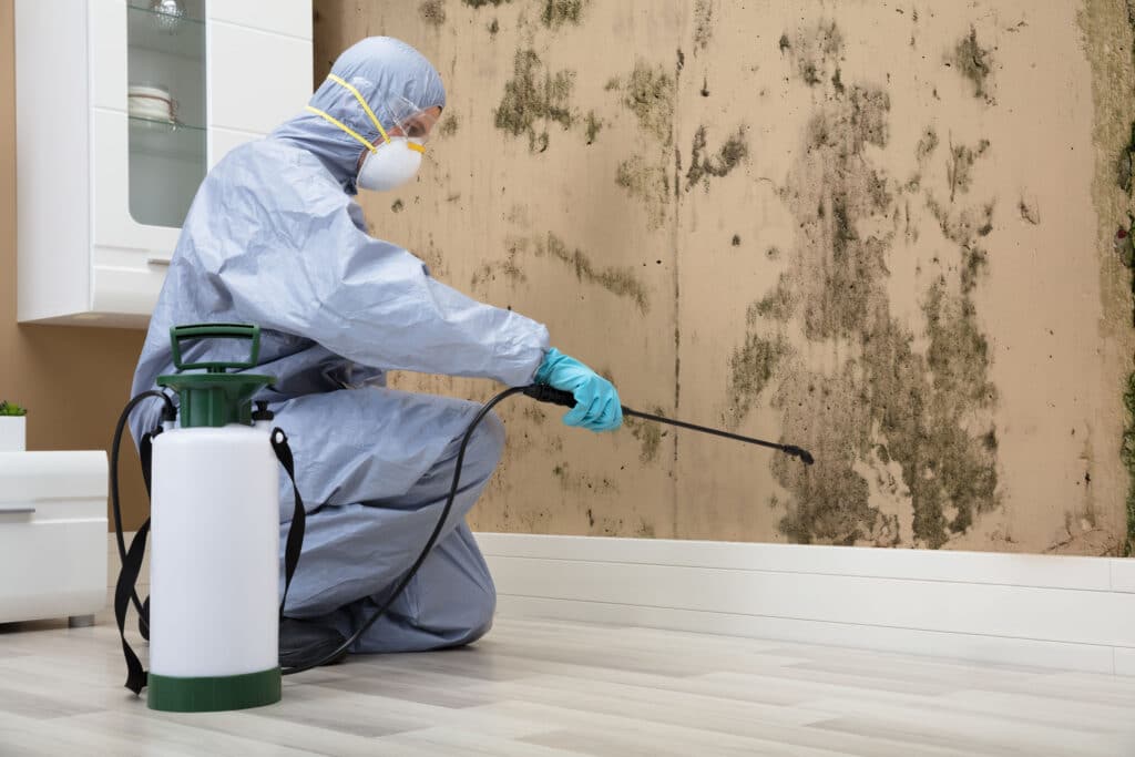 Mold Remediation Specialist Near You