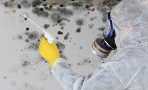 Mold Development and Health Issues
