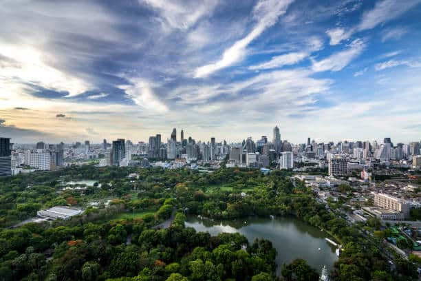 Mold Remediation Near Me Chicago, Illinois