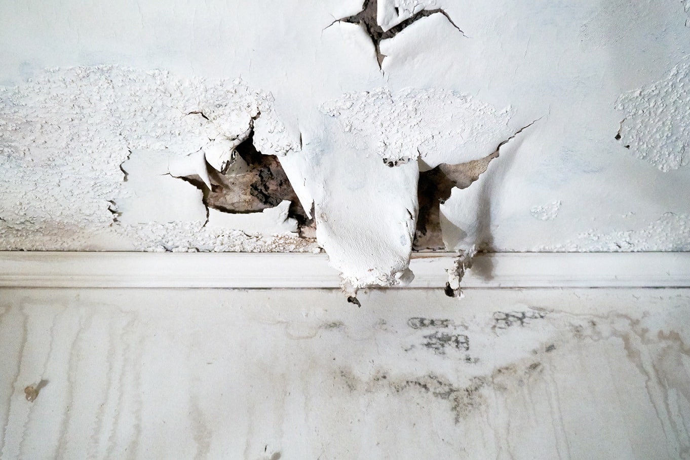 Emergency Mold Remediation